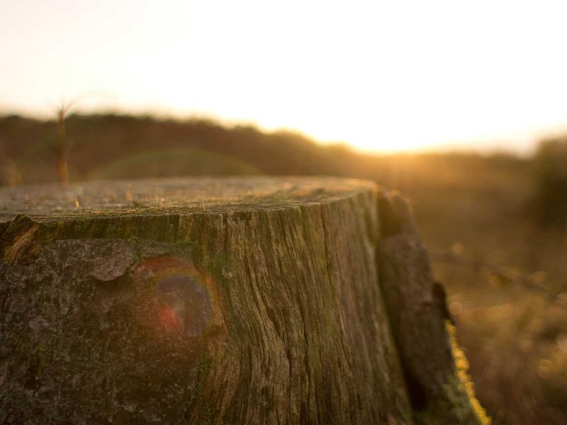 sudoku pattern learning screenshot 5